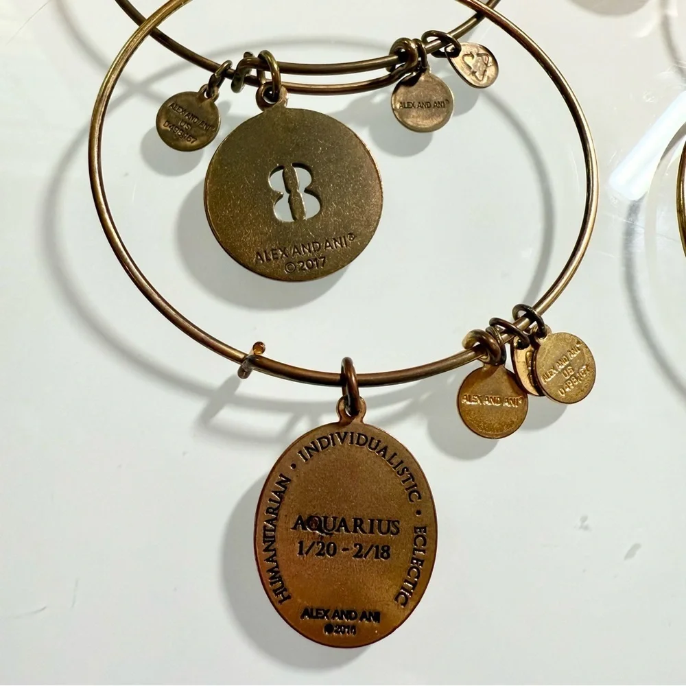Alex and Ani Charm Bracelets - Set of 5